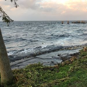 Meet your Posher, Thrifty FL Girl